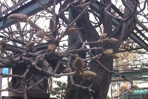 平成22年